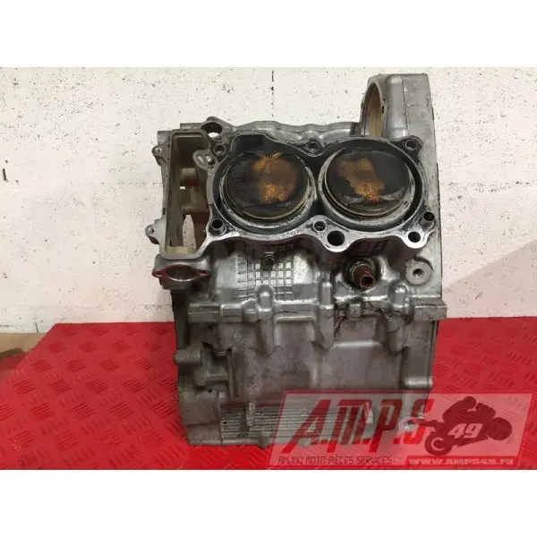 MOTEUR1300pan - Copie (19)