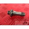 MOTEUR1300pan - Copie (2)