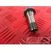 MOTEUR1300pan - Copie (2)