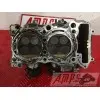 MOTEUR1300pan - Copie (20)