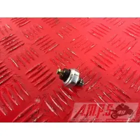 MOTEUR1300pan - Copie (21)