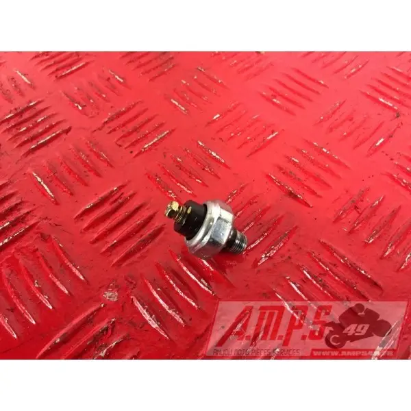 MOTEUR1300pan - Copie (21)