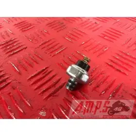 MOTEUR1300pan - Copie (21)