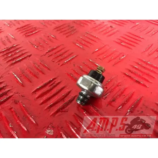 MOTEUR1300pan - Copie (21)
