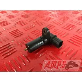 MOTEUR1300pan - Copie (26)