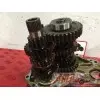 MOTEUR1300pan - Copie (3)