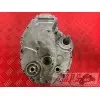 MOTEUR1300pan - Copie (9)