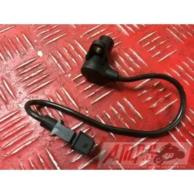 Moteur 1199 CF-714 - Copie (17)