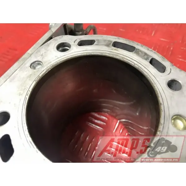 MOTEUR749S07BW-483-PC - Copie (2)