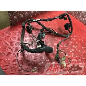 ELECTRICITE6783WK72B5A1 - Copie (11)