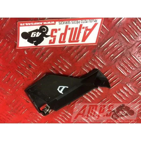 CAROSSERIE S1000RRAK-348-FZ - Copie (27)