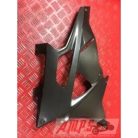 CAROSSERIE S1000RRAK-348-FZ - Copie (7)