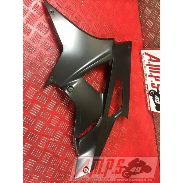 CAROSSERIE S1000RRAK-348-FZ - Copie (7)