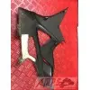 CAROSSERIE S1000RRAK-348-FZ - Copie (7)
