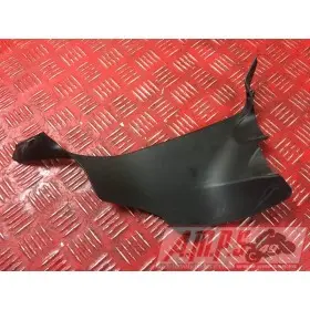 Cache plastique Panigale V4 2018 2019