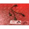 Sonde de choc moteur Panigale V4 2018 2019