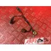 Sonde de choc moteur Panigale V4 2018 2019