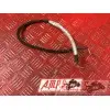 Cable Panigale V4 2018 2019