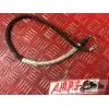 Cable Panigale V4 2018 2019
