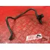 MOTEUR V4 PANIGALE - Copie (10)