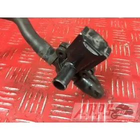 MOTEUR V4 PANIGALE - Copie (10)