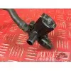 MOTEUR V4 PANIGALE - Copie (10)