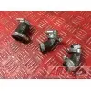 MOTEUR V4 PANIGALE - Copie (31)