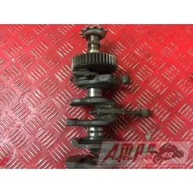 MOTEUR600HornetBX-666-SF - Copie (21)