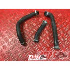 MOTEUREE-147-BC-H3-C1 - Copie (5)