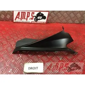 Cache sur flanc de carénage droit