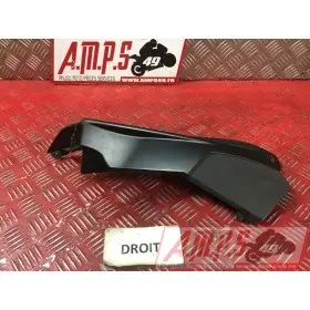 Cache sur flanc de carénage droit