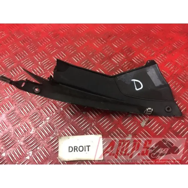 Cache sur flanc de carénage droit