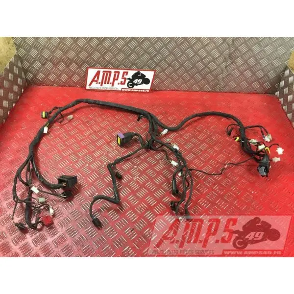 Faisceau électrique principale