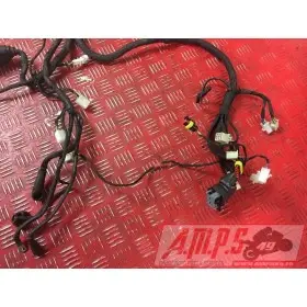 Faisceau électrique principale