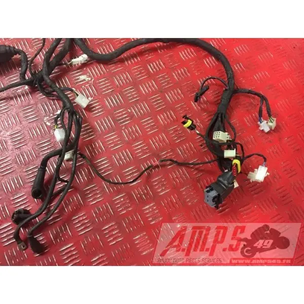 Faisceau électrique principale