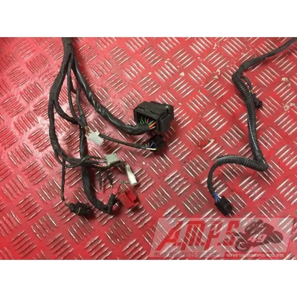 Faisceau électrique principale