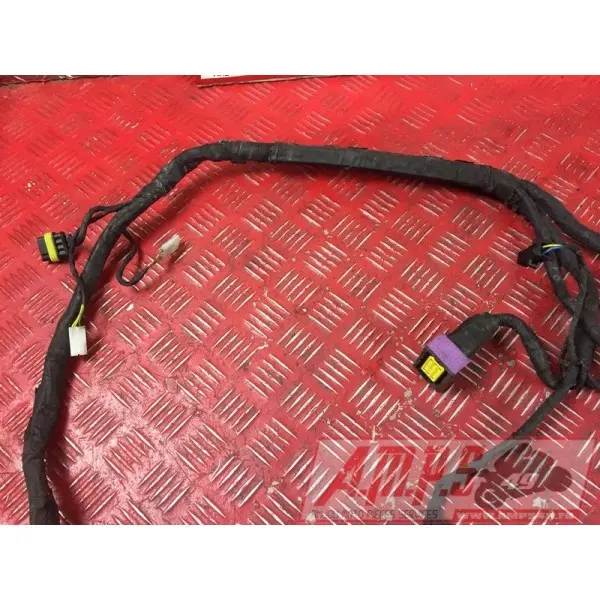 Faisceau électrique principale