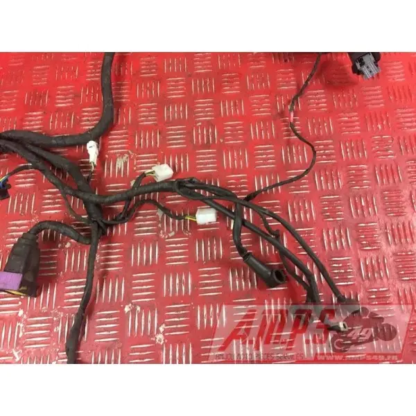 Faisceau électrique principale