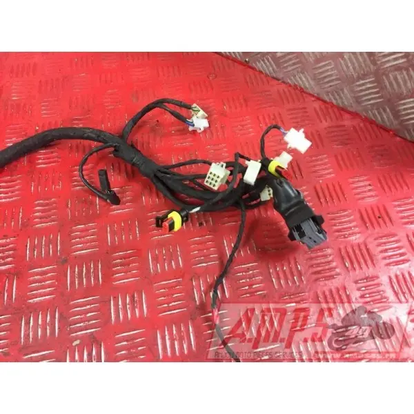 Faisceau électrique principale