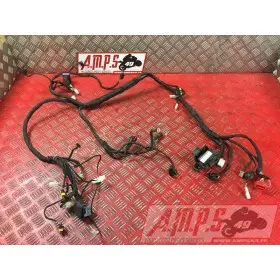 Faisceau électrique principaleRSV410AZ-809-SFH4-C3331822used