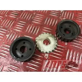 Pignon de distribution