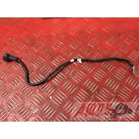 Cable de batterieSTREET765953028H2-E5333125used