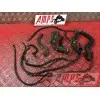 Kit de durite de refroidissementXJ615DQ-406-HBB4-C2333574used