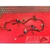 Faisceau électrique principale Kawasaki ZX-6R 2000 à 2001ZX6R02DJ-283-HJB3-F0333717used