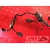Faisceau électrique principale Kawasaki ZX-6R 2000 à 2001ZX6R02DJ-283-HJB3-F0333717used