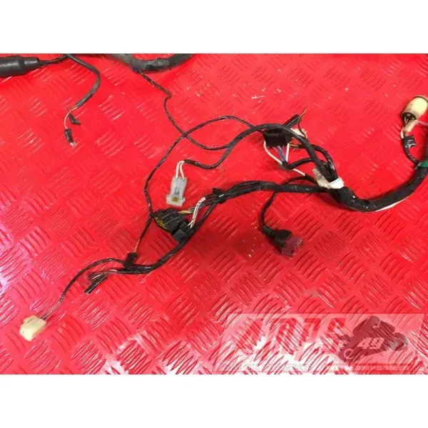 Faisceau électrique principale Kawasaki ZX-6R 2000 à 2001ZX6R02DJ-283-HJB3-F0333717used