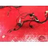 Faisceau électrique principale Kawasaki ZX-6R 2000 à 2001ZX6R02DJ-283-HJB3-F0333717used