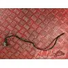 Cable de masse Kawasaki ZX-6R 2000 à 2001ZX6R02DJ-283-HJB3-F0333704used
