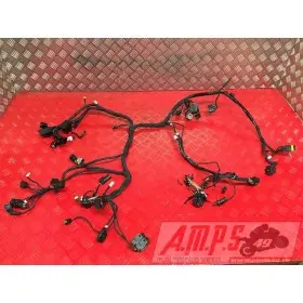 Faisceau électrique principale899DE-266-CXh3-G0333939used