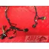 Faisceau électrique principale899DE-266-CXh3-G0333939used